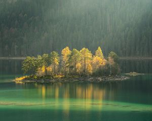 Preview wallpaper island, lake, trees, fog