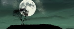 Preview wallpaper island, night, moon, silhouette, loneliness, art