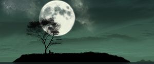 Preview wallpaper island, night, moon, silhouette, loneliness, art