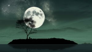 Preview wallpaper island, night, moon, silhouette, loneliness, art