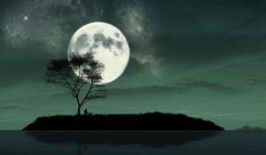 Preview wallpaper island, night, moon, silhouette, loneliness, art