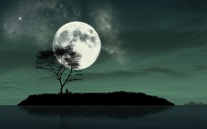 Preview wallpaper island, night, moon, silhouette, loneliness, art