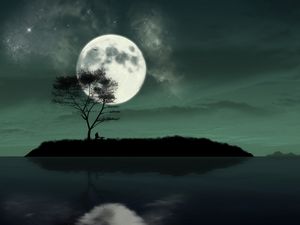 Preview wallpaper island, night, moon, silhouette, loneliness, art