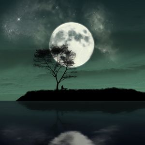 Preview wallpaper island, night, moon, silhouette, loneliness, art