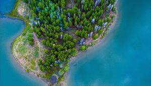 Preview wallpaper island, ocean, aerial view, paradise, trees