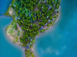 Preview wallpaper island, ocean, aerial view, paradise, trees