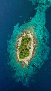 Preview wallpaper island, ocean, aerial view, water, trees