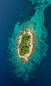 Preview wallpaper island, ocean, aerial view, water, trees