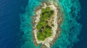 Preview wallpaper island, ocean, aerial view, water, trees