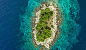 Preview wallpaper island, ocean, aerial view, water, trees