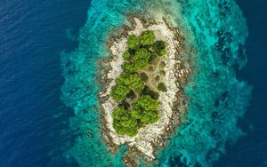 Preview wallpaper island, ocean, aerial view, water, trees