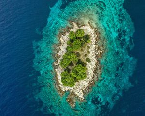 Preview wallpaper island, ocean, aerial view, water, trees