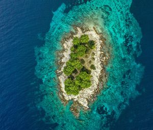 Preview wallpaper island, ocean, aerial view, water, trees