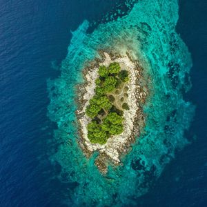 Preview wallpaper island, ocean, aerial view, water, trees