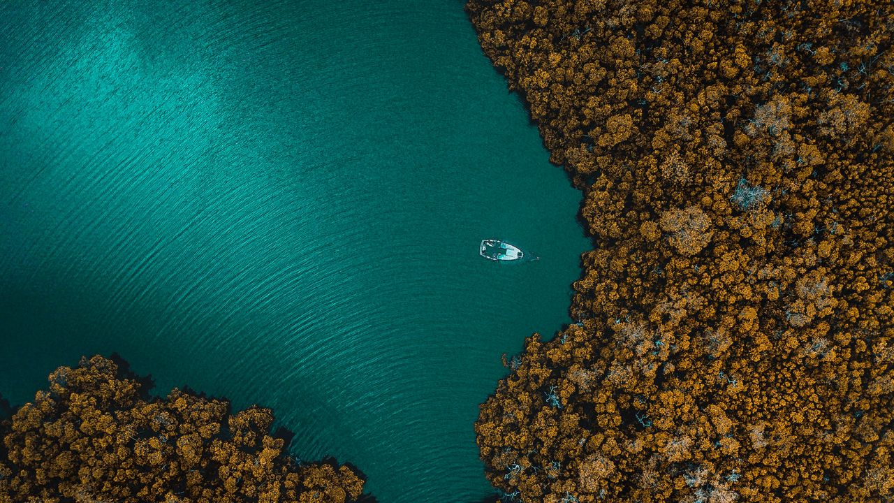Wallpaper island, ocean, top view