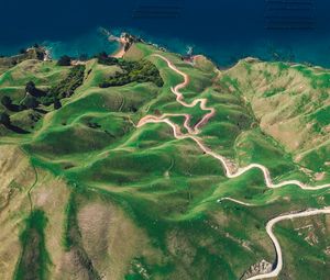 Preview wallpaper island, ocean, top view, durville island, new zealand