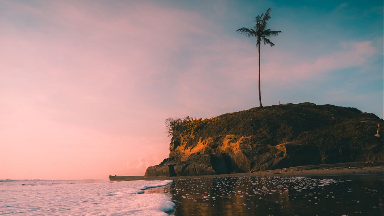 Wallpaper island, palm tree, beach, wave, sea