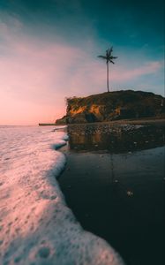 Preview wallpaper island, palm tree, beach, wave, sea