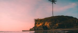 Preview wallpaper island, palm tree, beach, wave, sea