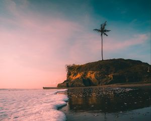 Preview wallpaper island, palm tree, beach, wave, sea