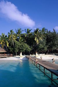 Preview wallpaper island, palm trees, pier, canopy, shadows, lamps, azure