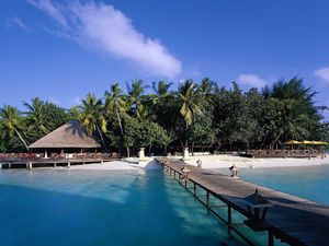 Preview wallpaper island, palm trees, pier, canopy, shadows, lamps, azure