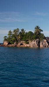 Preview wallpaper island, palm trees, sea, landscape