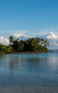 Preview wallpaper island, palm trees, sea, clouds, landscape, nature