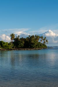 Preview wallpaper island, palm trees, sea, clouds, landscape, nature