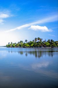 Preview wallpaper island, palm trees, sky, cloud