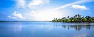 Preview wallpaper island, palm trees, sky, cloud