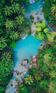 Preview wallpaper island, palm trees, top view, tropics, siquijor, philippines