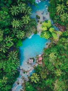 Preview wallpaper island, palm trees, top view, tropics, siquijor, philippines