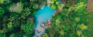 Preview wallpaper island, palm trees, top view, tropics, siquijor, philippines