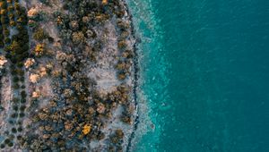 Preview wallpaper island, sea, aerial view, shore, water