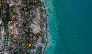 Preview wallpaper island, sea, aerial view, shore, water