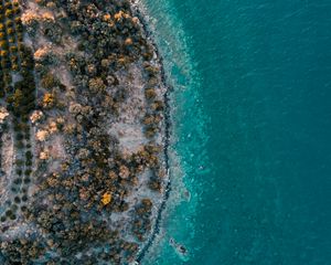 Preview wallpaper island, sea, aerial view, shore, water