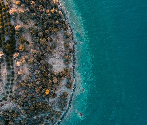Preview wallpaper island, sea, aerial view, shore, water