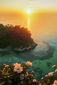 Preview wallpaper island, sea, flowers, bay, landscape, art