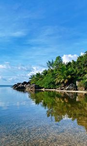 Preview wallpaper island, sea, palms, trees, summer