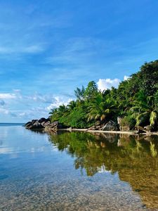 Preview wallpaper island, sea, palms, trees, summer