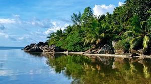 Preview wallpaper island, sea, palms, trees, summer