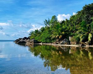 Preview wallpaper island, sea, palms, trees, summer