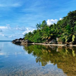 Preview wallpaper island, sea, palms, trees, summer