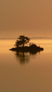 Preview wallpaper island, tree, bushes, evening, loneliness