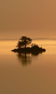 Preview wallpaper island, tree, bushes, evening, loneliness