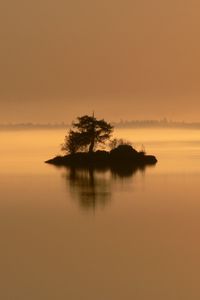 Preview wallpaper island, tree, bushes, evening, loneliness