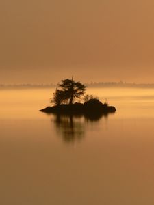 Preview wallpaper island, tree, bushes, evening, loneliness