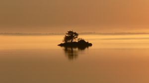 Preview wallpaper island, tree, bushes, evening, loneliness