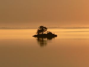 Preview wallpaper island, tree, bushes, evening, loneliness